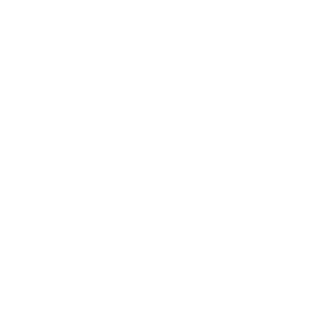 Logo Blochet